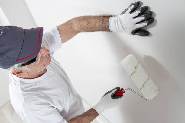 Best Commercial Mold Inspection  in Brookmont, MD