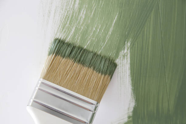 Best Mold Remediation for Rental Properties  in Brookmont, MD