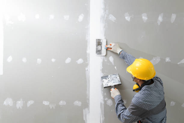 Best Dehumidification Services  in Brookmont, MD