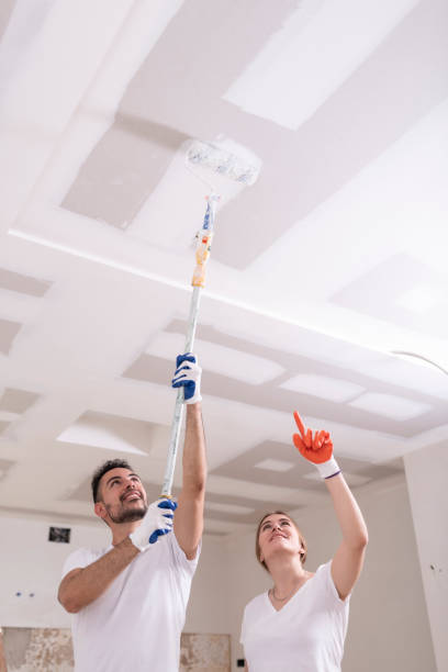 Best Mold Odor Removal Services  in Brookmont, MD
