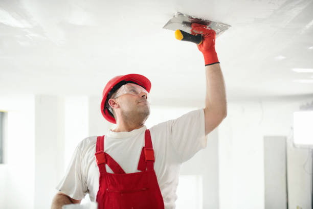 Best Comprehensive Air Testing for Mold Contaminants  in Brookmont, MD