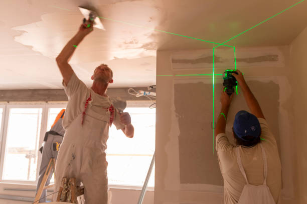 Best Black Mold Removal  in Brookmont, MD