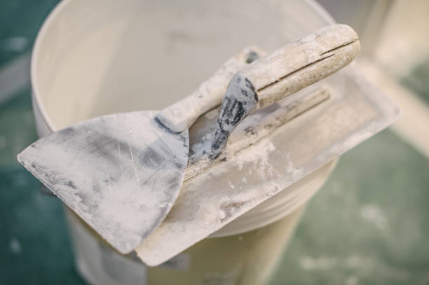 Best Emergency Mold Remediation  in Brookmont, MD